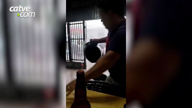 Temporal provoca danos e derruba árvores em Londrina; assista
