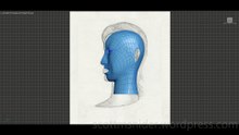 Treliving: 3DS MAX Practice Polygon Modeling Head Model Video #53 (02-17-2026)