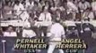 Pernell Whitaker vs. Angel Herrera ( Boxe Amateur 1983 )