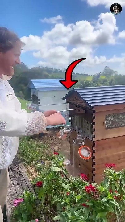 Honey Extraction new method