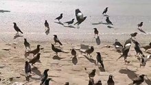 অপরূপ সুন্দর