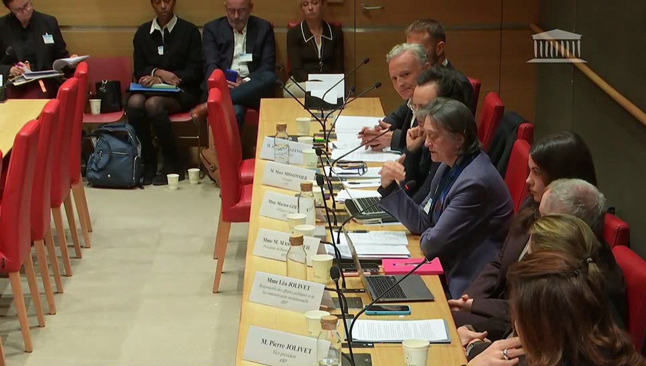 Neutralité et financement de l’audiovisuel public : Sociétés représentant la production cinématographique ; Sociétés représentant la production audiovisuelle - Mardi 17 février 2026