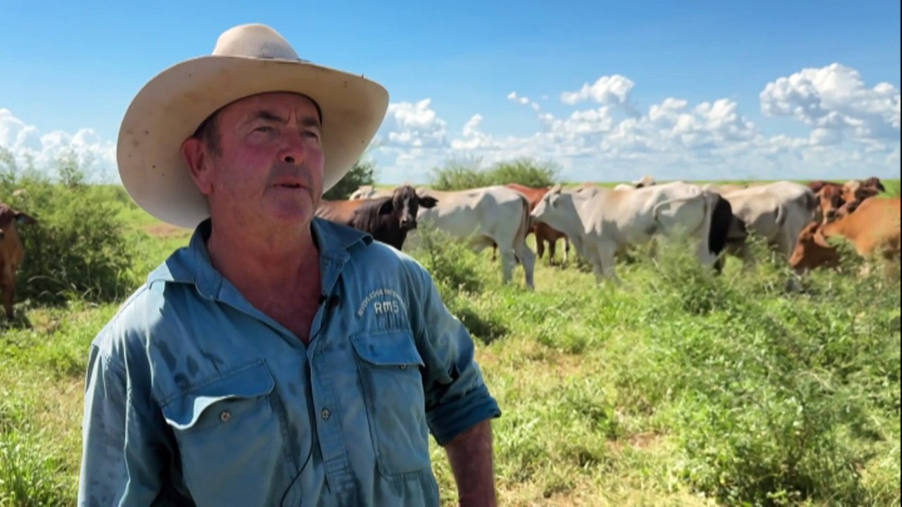Queensland graziers working to rebuild after last month’s flooding