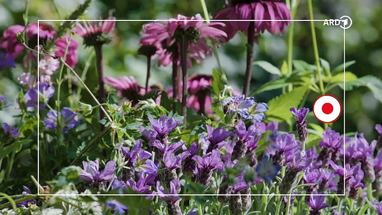 In aller Freundschaft: Kampf oder Flucht | Folge 1127