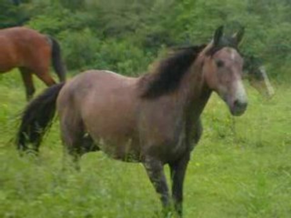 Sapho, 31 Mai 2008