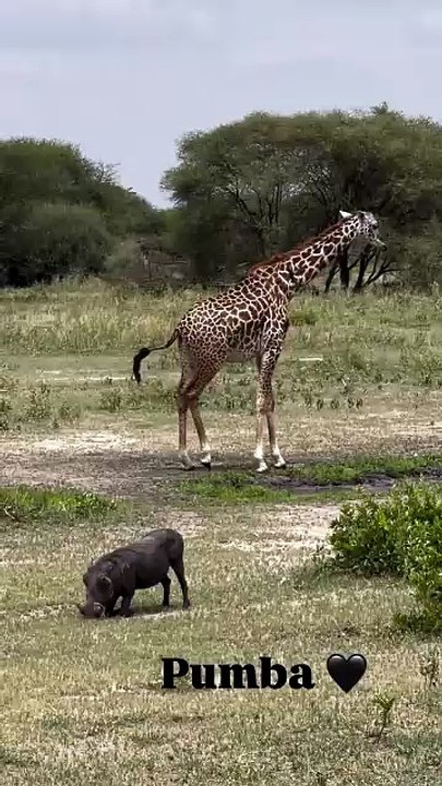 Aurélie Casse en vacances en Tanzanie.