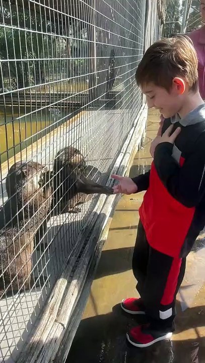 Otter Feeding 2023 12 27 11 07 42