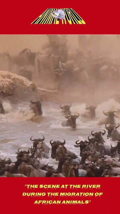 when crossing the river