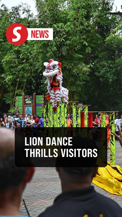 Zoo Negara brings Lunar New Year to life with spectacular lion dance