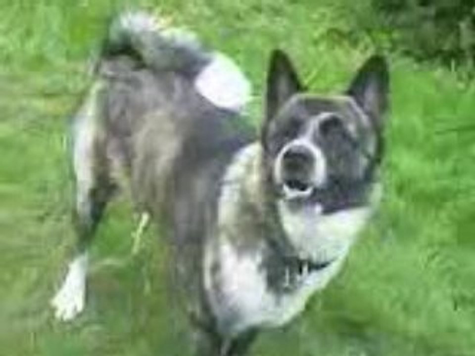 Maya 11 mois