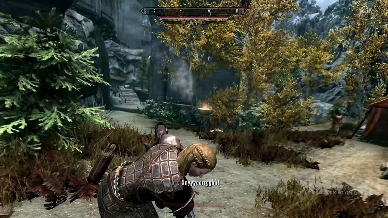 Vampire Hunters Hunting A Vampire Hunter ...?Skyrim Glitch
