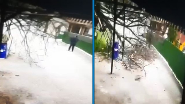 Devrilen ağacın altında kalmaktan son anda kurtuldu