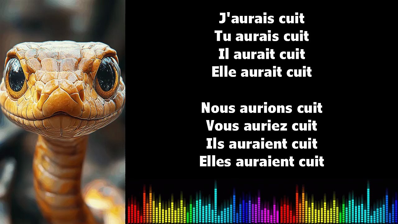 ♫ Apprendre la conjugaison en chantant ♫  I CUIRE I Conditionnel Passé_