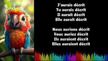 ♫ Apprendre la conjugaison en chantant ♫  I DÉCRIRE I Conditionnel Passé_