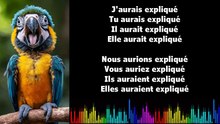 ♫ Apprendre la conjugaison en chantant ♫  I EXPLIQUER I Conditionnel Passé_