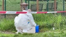 Scandicci, donna trovata morta nell'ex complesso del Cnr