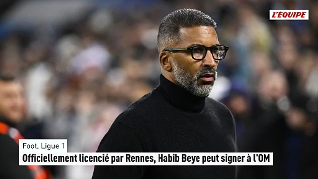 Officiellement licencié par Rennes, Habib Beye peut signer à l'OM - Foot - Ligue 1