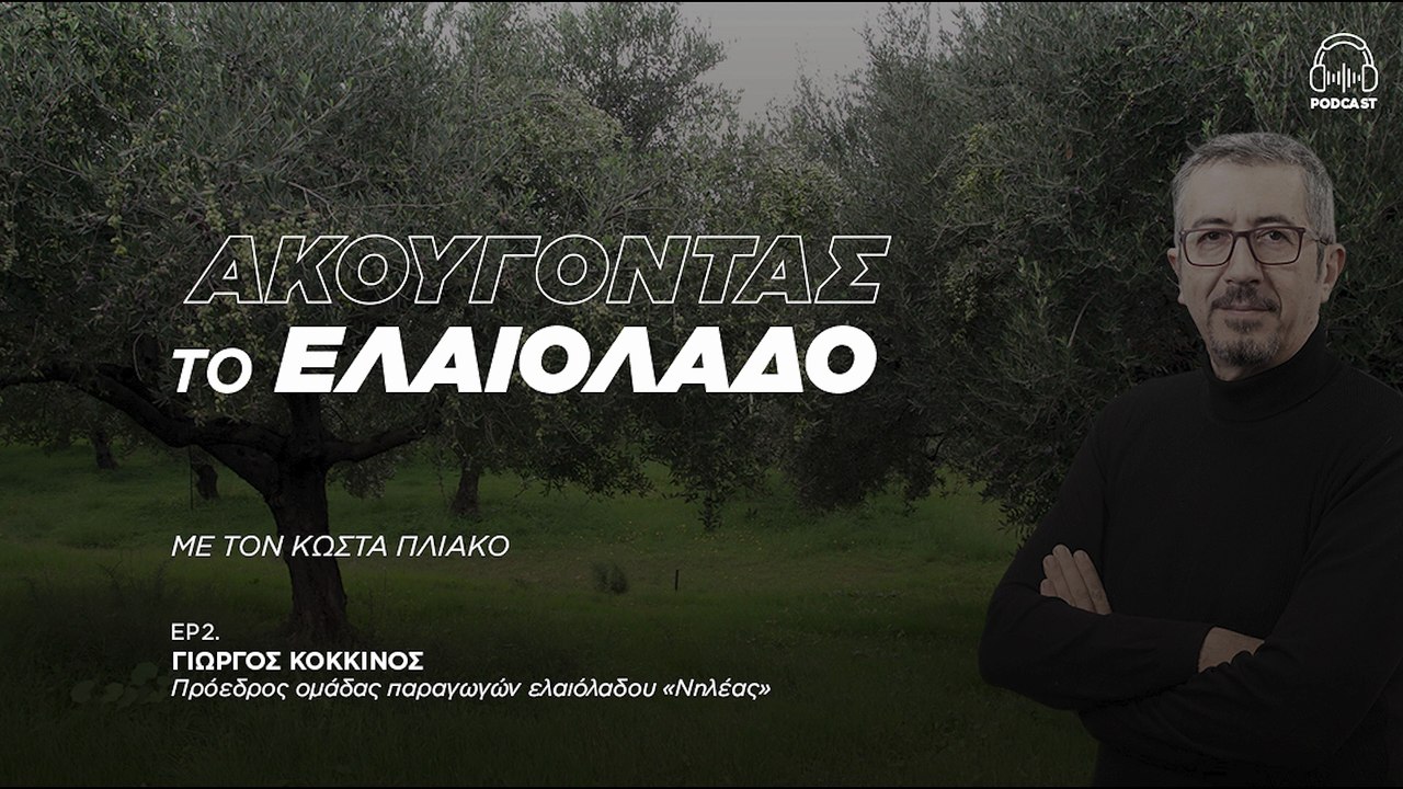 Γιώργος Κόκκινος: Μονόδρομος ο συνεταιρισμός ελαιοπαραγωγών αν θέλουμε να επιβιώσουμε