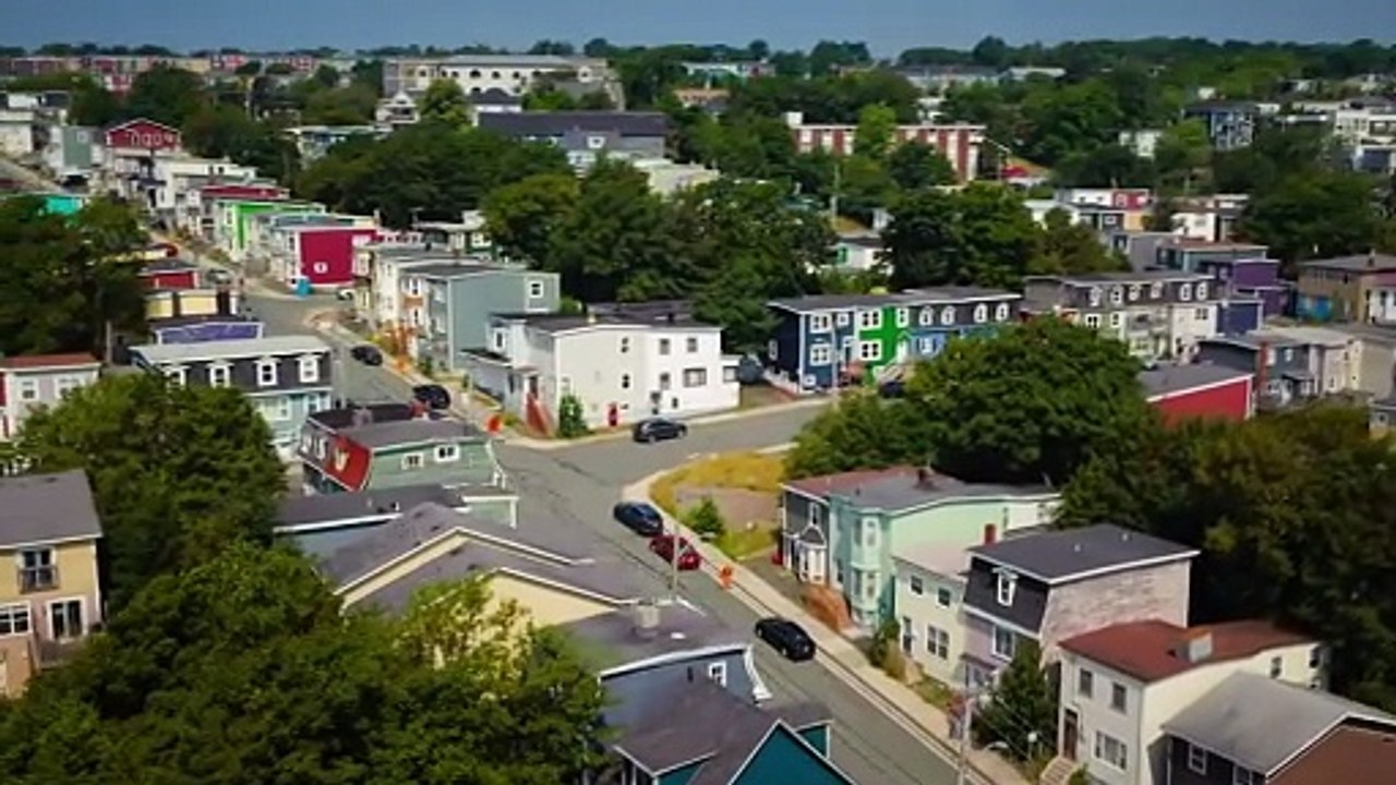 Hudson and Rex S08E11 Trial By Fire 1 H 264