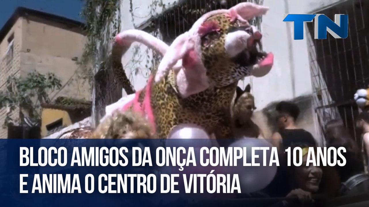Bloco Amigos da Onça completa 10 anos e anima o...