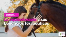 La equinoterapia y sus beneficios terapéuticos