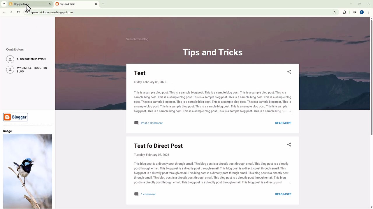 Blogger 56 Text Content Widget