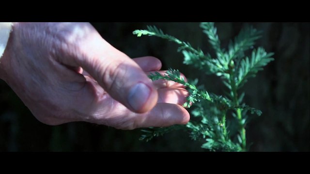 Tuscan's Curse Within Movie | Trailer | Carlo Carli | John Dobrynine | Cosetta Turco | Aurélia Bonta