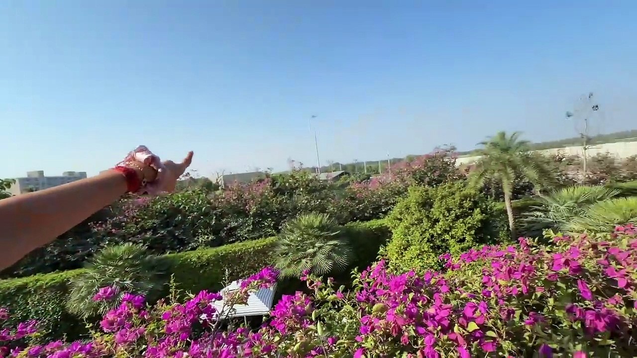 Tiger Ne Dara Diya 😲 Vantara Vlog