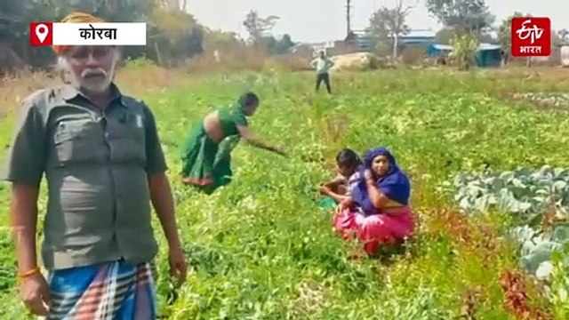 धान की खेती से किसानों ने की तौबा, दलहन और तिहलन की खेती से बढ़ा मुनाफा