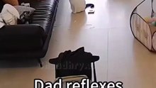 dad reflexes