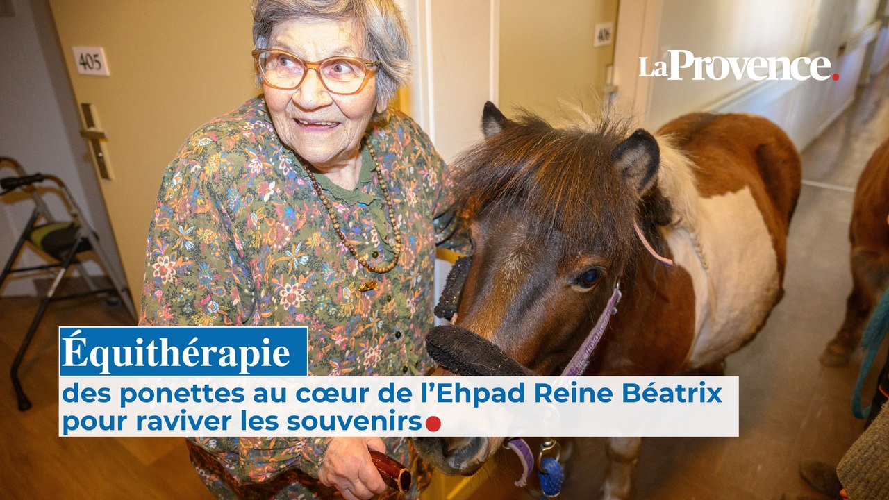 Bienfaits de la thérapie animale : quand des poneys rendent visite aux seniors d'un Ehpad à Digne-les-Bains