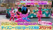 ティスニーハルハルーサ大満喫202602