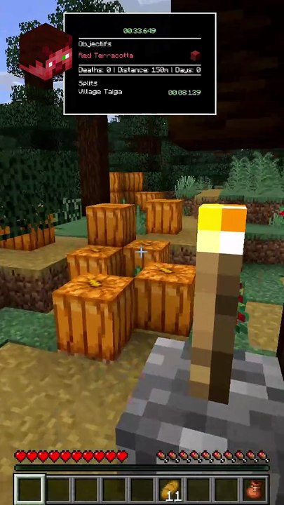 Les 2 PIRES JOUEURS de Minecraft 🤣