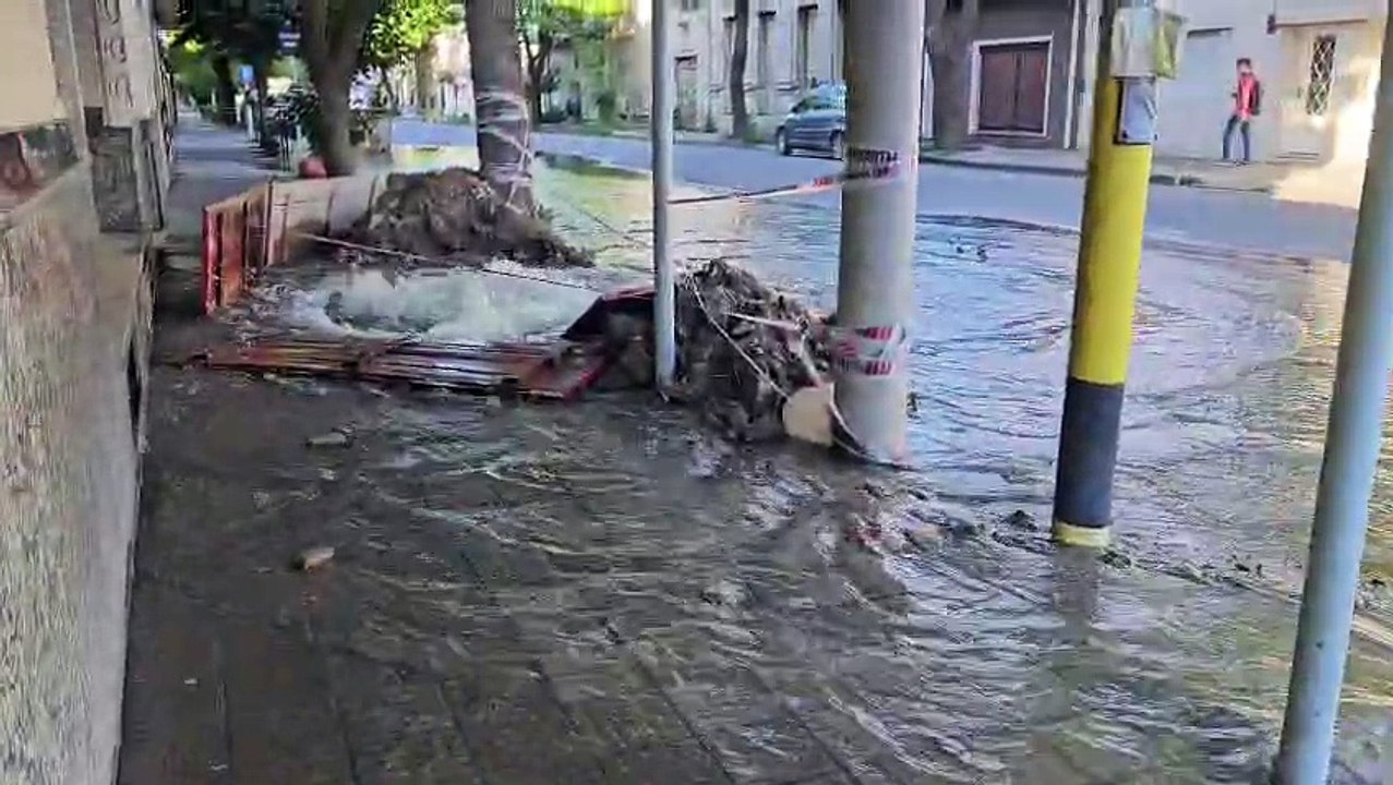 Pérdida de agua en Brown y Undiano
