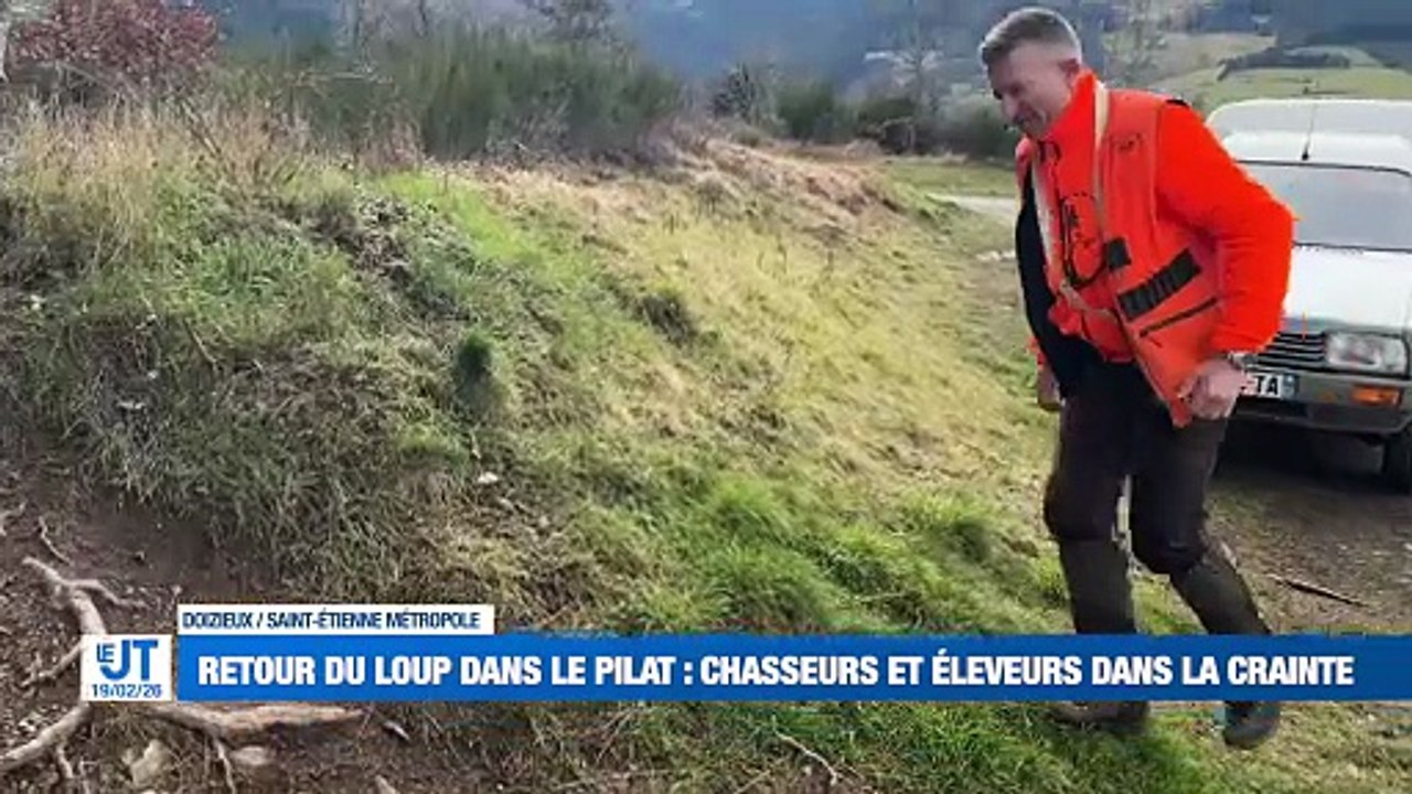 Chasseurs et éleveurs craignent un retour du loup dans le Pilat / Un mois sacré débute pour chrétiens et musulmans / Les glaces des délices foréziens partent pour le Salon de l'Agriculture