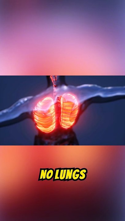 Man Thrives 48 Hours Without Lungs in Unprecedented Medical Achievement