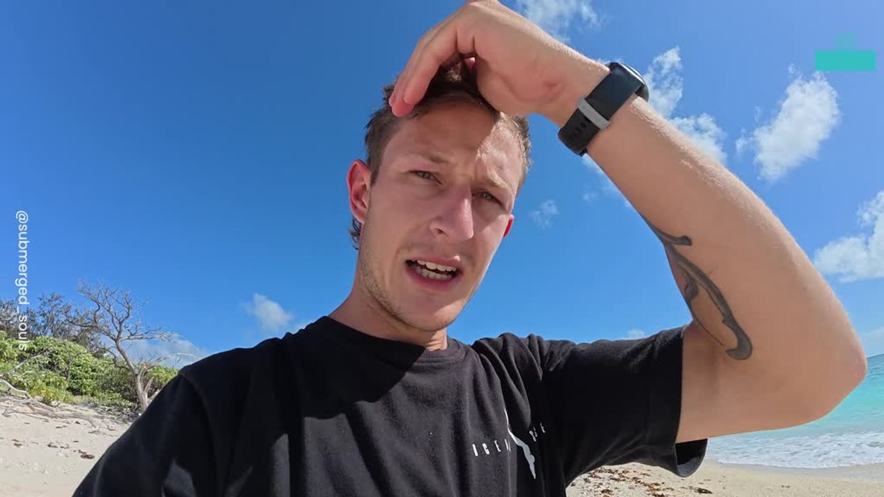 Man Saves Stranded Turtle on Remote Island