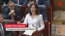 Brutal bronca entre Ayuso y Bergerot en la Asamblea de Madrid