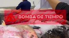 Cuaresma 2026: cómo identificar pescado fresco y evitar que te vendan producto echado a perder