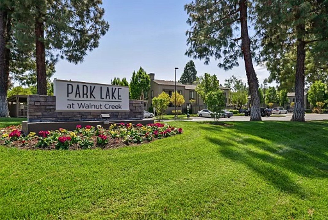 Park Lake in Walnut Creek, CA