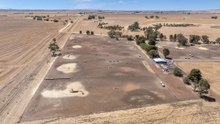 Mid North sheep feedlot for sale.