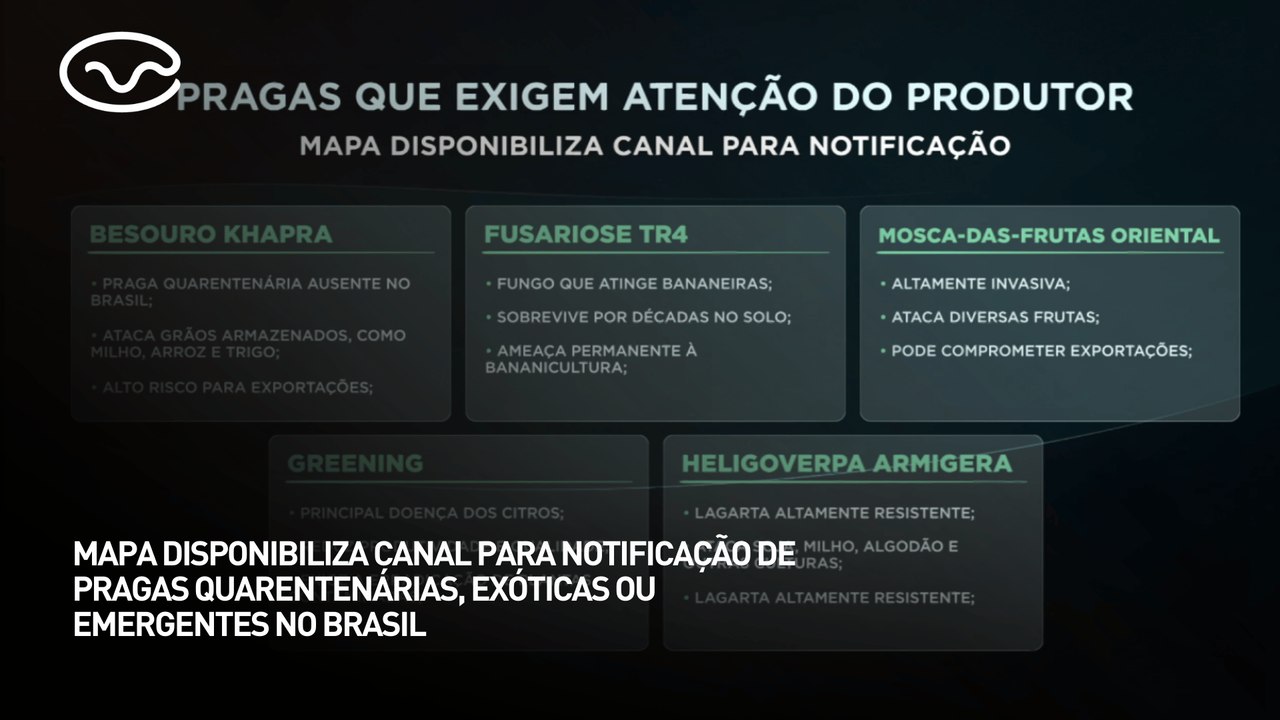 MAPA disponibiliza canal de notificações de pragas quarentenárias, exóticas ou emergentes no Brasil