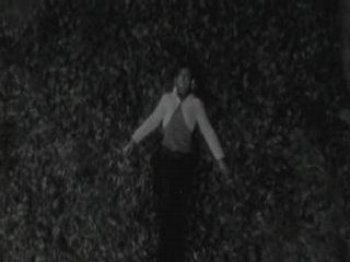 Plastic Tree　Spica