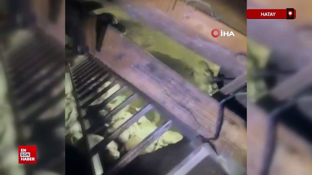 Hatay'da evinin bahçesinde define ararken 40 metrelik tünel açtı