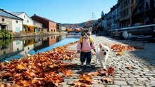AI cat Popotan and his beloved Chihuahua travel to Hokkaido in autumn