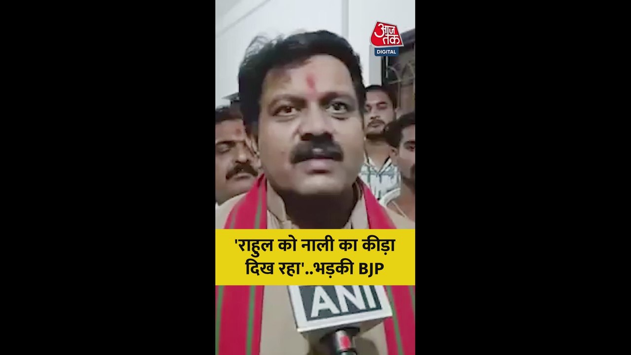 राहुल गांधी पर बीजेपी नेता ने कसा तंज