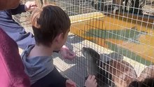Otter Feeding 2023 12 27 11 13 17