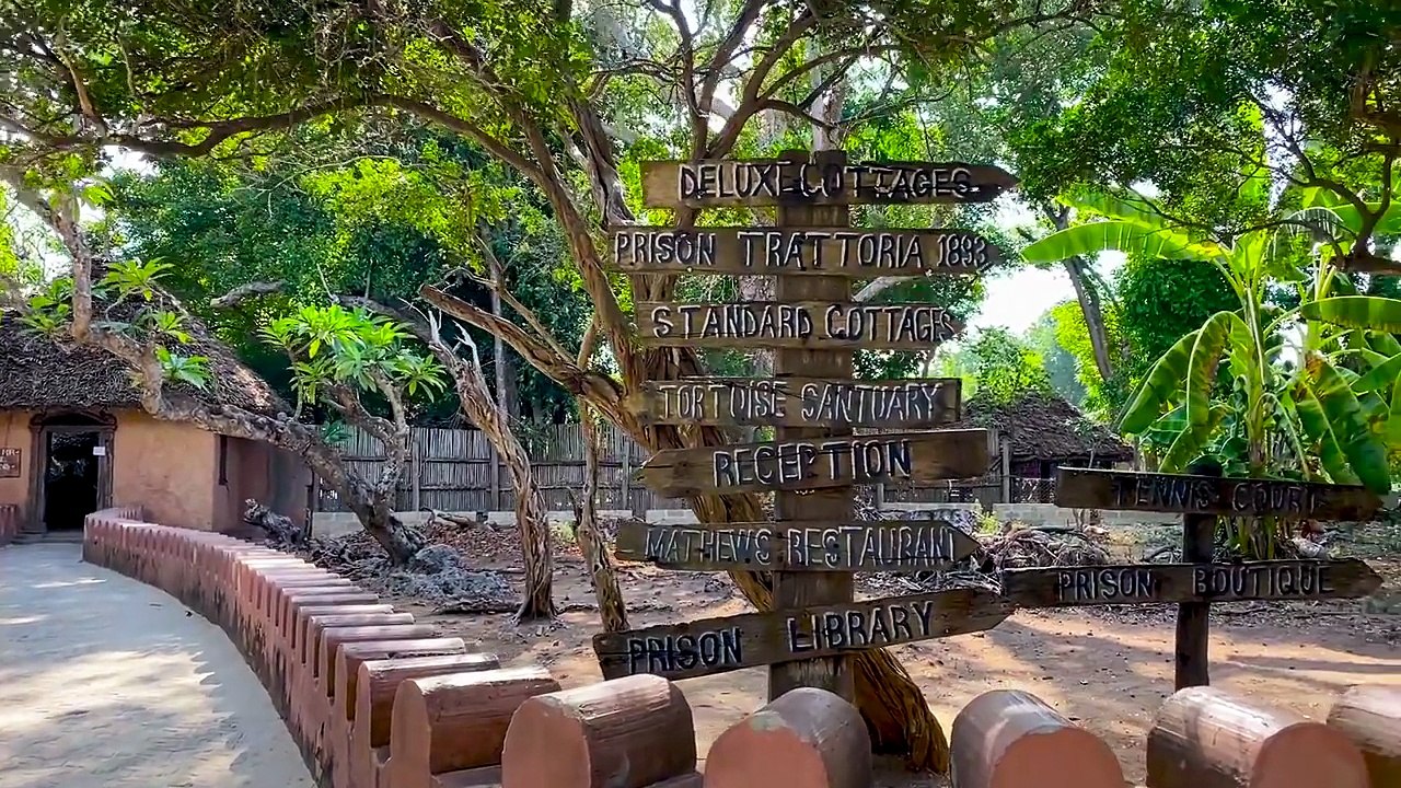 LAS MEJORES PLAYAS DE ÁFRICA - Zanzíbar I Tanzania Vlog