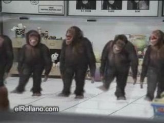 singes qui dancent