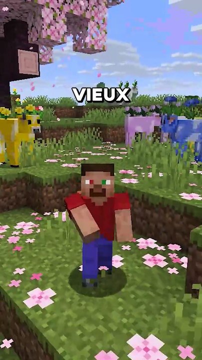 Vous vous souvenez de ça ?